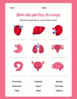 Aperçu - Préparation de séance / Séance complète - Organes internes +8 fiches d'activités - Page de couverture
