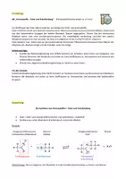 Vorschau - Stundenentwürfe - Aromastoffe - Ester und Esterbindung - Seite 2