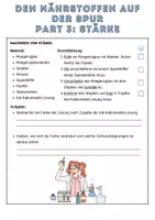 Vorschau - Arbeitsblätter - 4x Experimente zum Nährstoffnachweis | Biologie - Seite 3