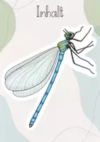 Vorschau - Präsentationen/Tafelbilder - Tafelbild: Der Körperbau der Libelle - Seite 3