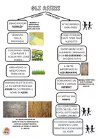anteprima - Materiale di supporto/inclusione - Gli ASSIRI: semplice mappa concettuale - Pagina 3