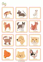 Vista previa - Juegos / Gamificación - Juego emociones con tarjetas de animales - página 3
