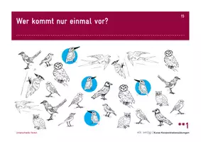 Vorschau - Arbeitsblätter - Kurze Konzentrationsübungen | 3. bis 6. Klasse - Seite 2