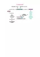 Vista previa - Para docentes: organización, planificación y formación - Opoesquema TEMA 8 (Magisterio Primaria CVA) - página 3