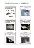 Vorschau - Arbeitsblätter - Erschließungsfelder / Basiskonzepte Biologie - Seite 1