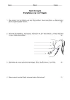Vorschau - Arbeitsblätter - Test zur Fortpflanzung von Vögeln - Deckblatt
