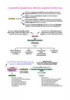 Vista previa - Para docentes: organización, planificación y formación - Opoesquema TEMA 26 (Magisterio Primaria CVA) - página 2