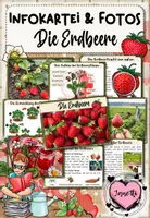Vorschau - Arbeitsblätter - Erdbeere: Bundle aus Miniheft & Kartei - Seite 1