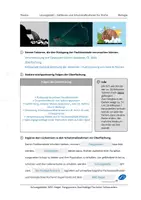 Vorschau - Arbeitsblätter - Gefahren & Schutz der Fische - Überfischung - Seite 3