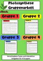 Vorschau - Stundenentwürfe - Photosynthese Gruppenarbeit - 4 texte + Aufgaben - Deckblatt