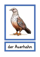 Vorschau - Bildkarten - Tafelkarten heimische Tiere in A4 und A5 - Seite 2