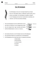 Vorschau - Arbeitsblätter - DAZ/LE Wirbelsäule - einfache Sprache - Seite 2