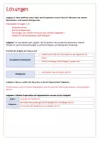 Vorschau - Stundenentwürfe - Einfach Europawahl - 1) Die Europäische Union und die Europawahl (leichte Sprache) - Seite 3