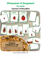 Aperçu - Apprentissages en autonomie - Jeu de classement & rangement par taille - Insectes - Page de couverture