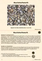 Vorschau - Stationenlernen - Materialpaket: Forscherkarteien mit Naturschätzen für die Kita (Steine, Muscheln, Zapfen, Kastanien) - Seite 1