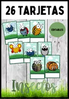 Vista previa - Decoración del aula - Tarjetas nombres alumnos - ESTILO INSECTOS - Portada