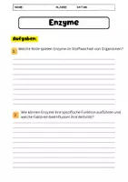 Vorschau - Arbeitsblätter - Enzyme Arbeitsblatt - Fragen + Lückentext - Seite 1