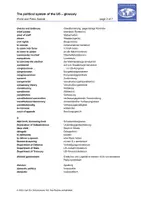Vorschau - Anderer Materialtyp - Glossar The political system of the US - Seite 2