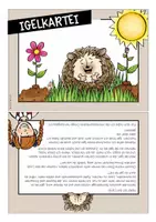 Vorschau - Stationenlernen - Igel Paket (Kartei und Heftchen; Wissenskarten- ideal für die Kinder zur Gestaltung von Plakaten) - Seite 2