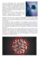 Vorschau - Arbeitsblätter - Viren - Info-Texte + Aufgaben - Seite 3