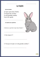 Aperçu - Feuilles d'exercices - Environ 150 textes simples avec questions de compréhension - Page de couverture