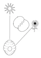 Vorschau - Fördermaterial/Inklusion - Die Tanzsprache der Bienen - Seite 2