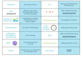 Vorschau - Spiele - Transkription – Domino Spiel (Abitur) - Seite 3