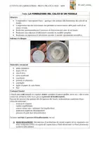 anteprima - Materiale di supporto/inclusione - Relazioni di laboratorio A050 - Pagina 2