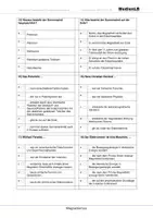 Vorschau - Arbeitsblätter - Magnetismus - Testaufgaben mit Lösungen - Seite 2