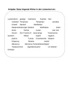 Vorschau - Arbeitsblätter - Arbeitsblatt zur „Mutation und Modifikation“ - Seite 2