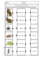 Vorschau - Arbeitsblätter - Materialpaket - Tiere der Wiese - Seite 2