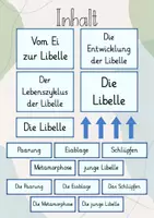 Vorschau - Präsentationen/Tafelbilder - Tafelbild: Vom Ei zur Libelle/ Der Lebenszyklus der Libelle - Seite 1