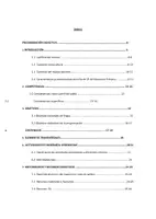 Vista previa - Unidades / Secuencias / Situaciones de Aprendizaje - PROGRAMACIÓN DIDÁCTICA - LENGUA CASTELLANA - CICLO MEDIO PRIMARIA - página 2