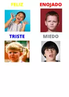 Vista previa - Tarjetas / Manipulativos - Aprender y expresar emociones - Tarjetas y hojas de trabajo - página 1