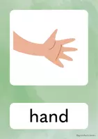 Vorschau - Unterrichtsreihen - Body Parts Englisch Grundschule - Seite 2