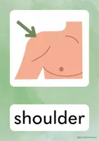 Vorschau - Unterrichtsreihen - Body Parts Englisch Grundschule - Seite 3