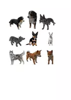 Vorschau - selbst erstellte Cliparts/Grafiken - 100 Cliparts: Haustiere - Seite 3