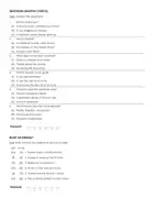 Aperçu - Feuilles d'exercices - The Truman Show (fiches de travail en anglais sur le film) - Page 2