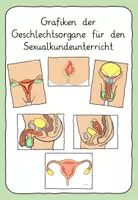 Vorschau - Arbeitsblätter - Materialpaket: Geschlechtsorgane und Menstruationszyklus - Deckblatt