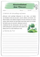 Vorschau - Arbeitsblätter - Abschreibübungen für die 3. Klasse zum Thema Pflanzen und deren Nutzen - Seite 2