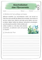 Vorschau - Arbeitsblätter - Abschreibübungen für die 3. Klasse zum Thema Pflanzen und deren Nutzen - Seite 3