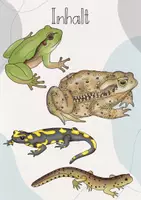 Vorschau - Präsentationen/Tafelbilder - Tafelbild: Amphibien am Teich/ See/ Weiher - Seite 2