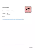 Vorschau - Arbeitsblätter - Tschick - Materialpaket - Seite 2