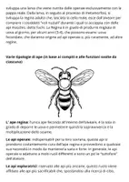 anteprima - Opere didattiche / Libri di testo - LE API - Pagina 3
