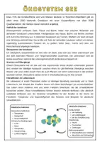 Vorschau - Arbeitsblätter - Ökosystem See- Einführung | Unterrichtsreihe "Ökosystem See", 8. Klasse Biologie - Seite 1