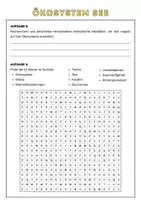 Vorschau - Arbeitsblätter - Ökosystem See- Einführung | Unterrichtsreihe "Ökosystem See", 8. Klasse Biologie - Seite 3