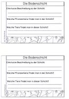 Vorschau - Arbeitsblätter - Forscherheft - Stockwerke des Waldes - Seite 3