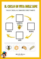 anteprima - Materiale per pittura e bricolage - Vita da Ape - fARTactivity Book - Pagina 1