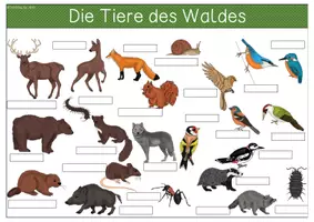 Vorschau - Arbeitsblätter - Übersichtsblätter - Waldtiere - Seite 2