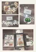 Vorschau - Spiele - Lapbook Holz - Differenzierung - WG 3/4 - Seite 1